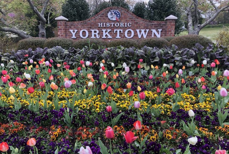 Red brick sign that says Historic Yorktown surrounded by multiple colors of flowers
