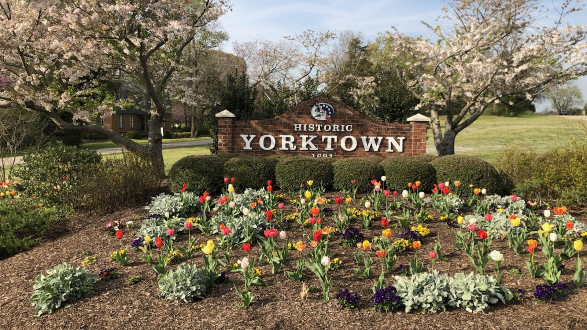 Brick sign that says Historic Yorktown surrounded by green bushes, flowers, Cherry Blossom trees, and green grass