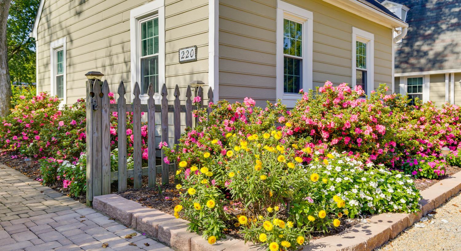 Exterior view of property painted light taupe with white trim surrounded by pink, yellow, and white flowering bushes